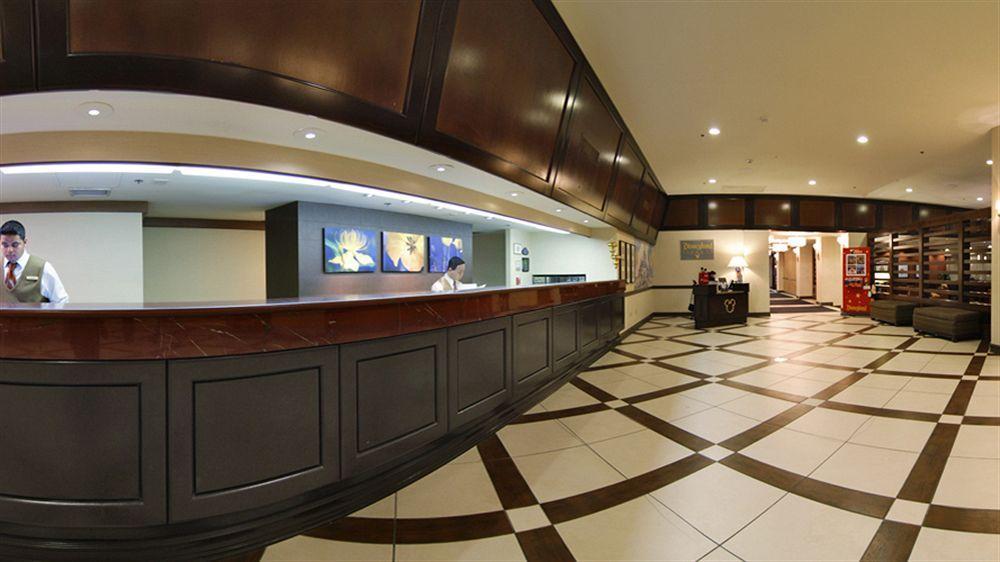 Hotel Sheraton Park At The 4*